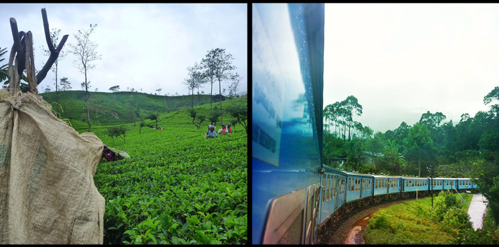 trip10
